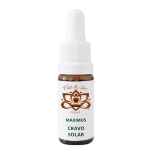 Maximus - Cravo Solar - Gota